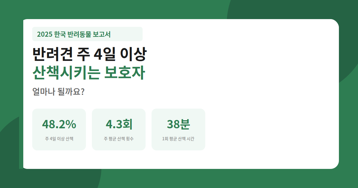 올바른 산책 습관