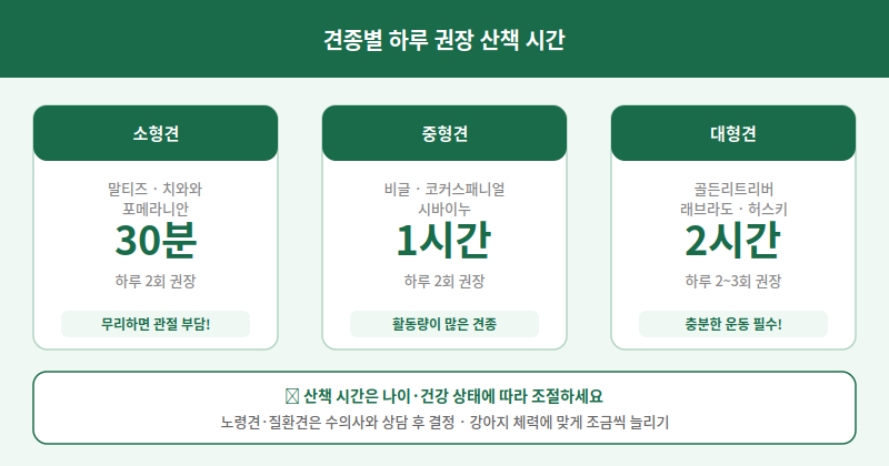 견종별 산책 시간