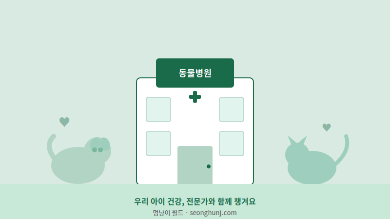 반려동물 건강 검진