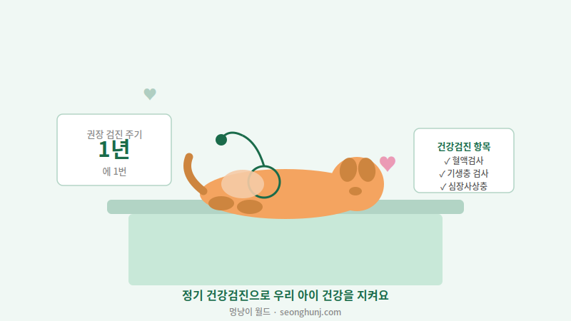 반려동물 동물병원 진료