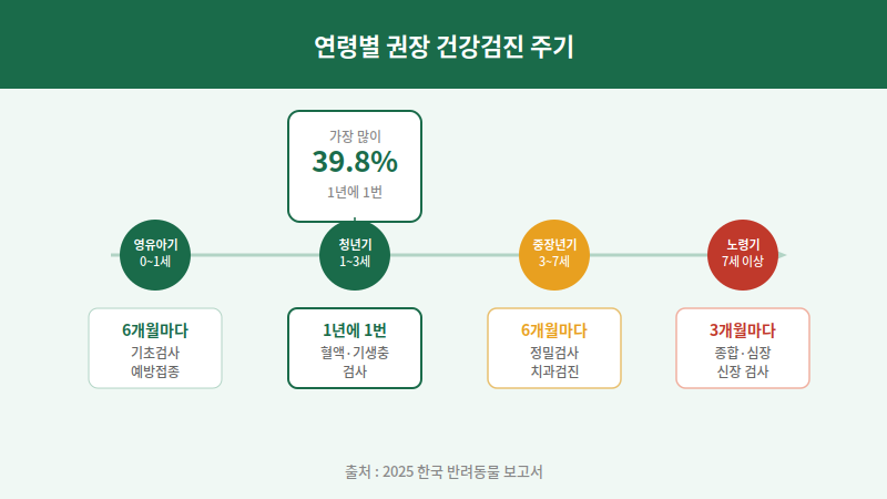 연령별 건강검진 주기