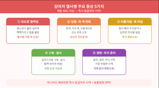 강아지 열사병 주요 증상 5가지 인포그래픽