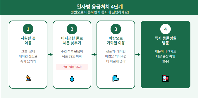 강아지 열사병 응급처치 4단계